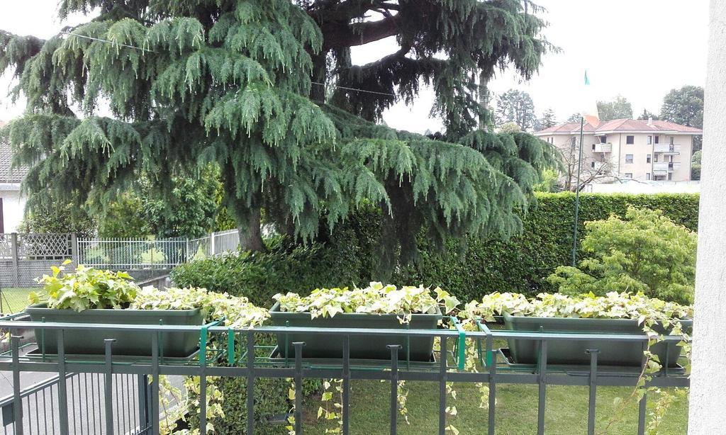 Affittacamere Giudici Lentate sul Seveso Bagian luar foto